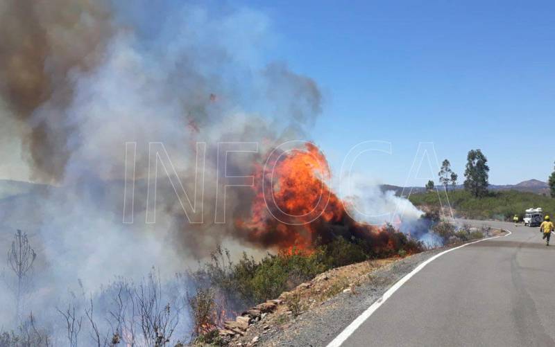 Declarado un incendio forestal en el paraje 'El Pantano' de Berrocal