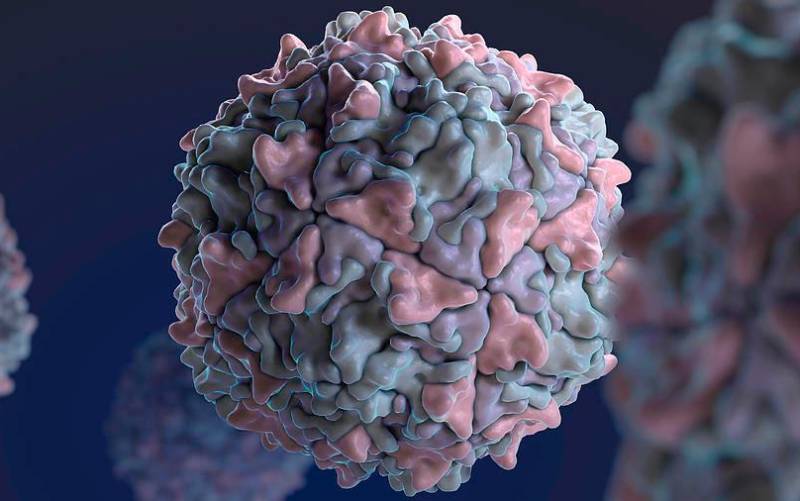 Detectan el resurgimiento del poliovirus por los efectos de la pandemia