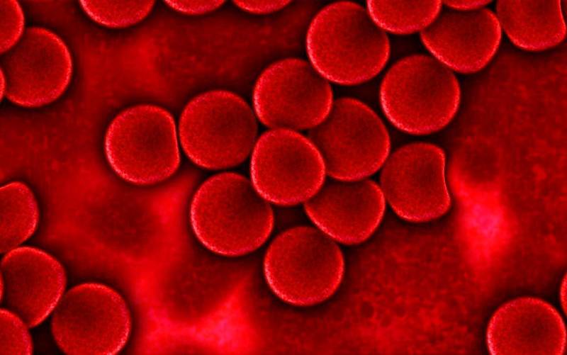 ¿Cuál es el grupo sanguíneo más vulnerable al coronavirus?