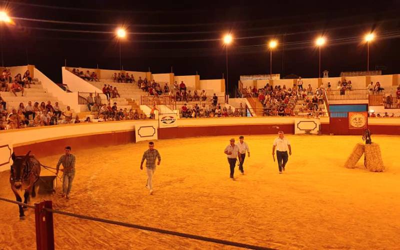 Resultados de los torneos deportivos en Guillena en las vísperas de la feria