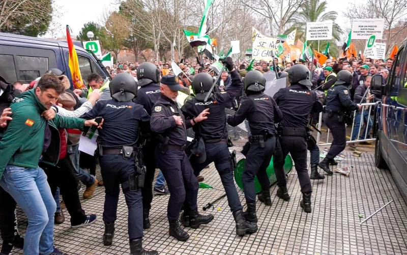 Centenares de agricultores confrontan con miembros de la Policía Nacional durante la protesta en Don Benito, Badajoz, este miércoles. EFE/ Jero Morales