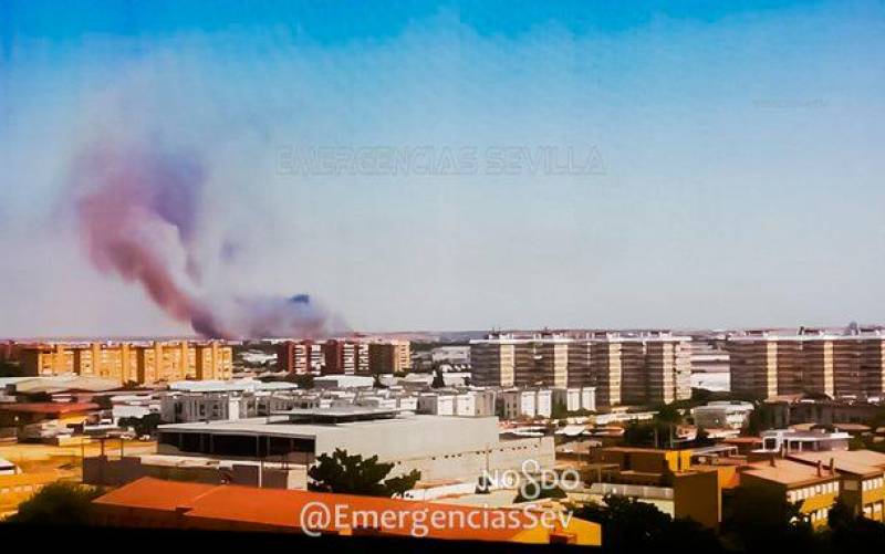 Tres bomberos heridos en un incendio de pastos en Torreblanca