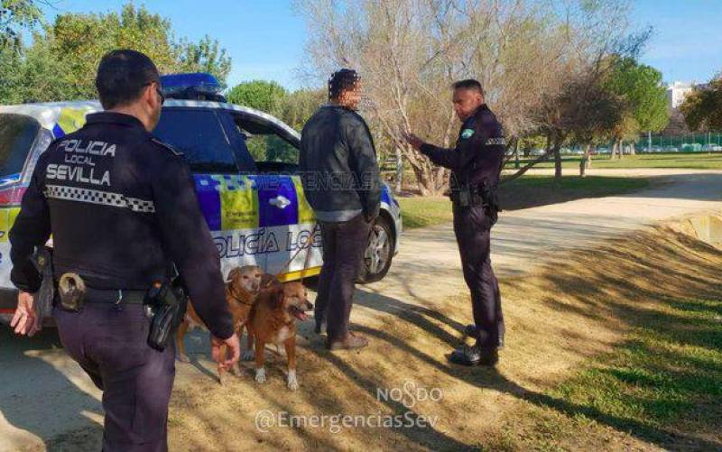 Más de 300 multas por no recoger los excrementos caninos de las calles de Sevilla