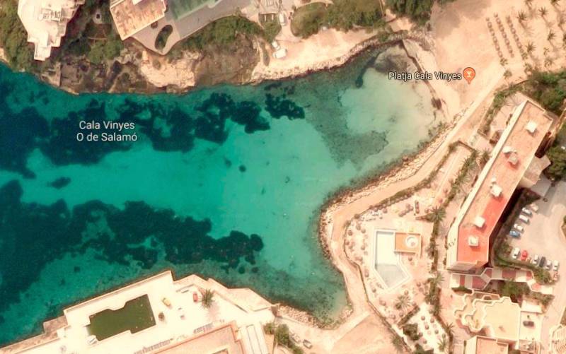 Vista aérea de Cala Vinyes, en Calvià. / Google Maps