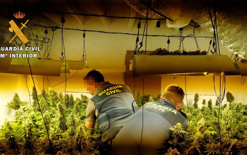 Cuarenta detenidos e intervenida una tonelada de marihuana envasada
