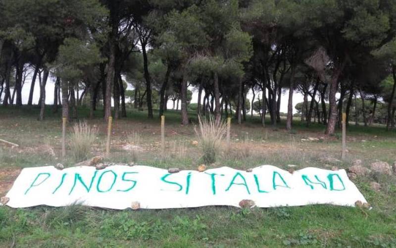 Los vecinos de Alcalá se movilizan por la tala de 877 pinos en un paraje privado