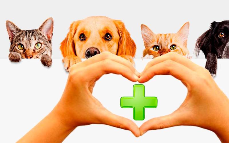La Ciencia lo confirma: las mascotas son beneficiosas para la salud