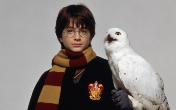 El entonces niño Daniel Radcliffe, en su primera interpretación de Harry Potter para el cine. / El Correo
